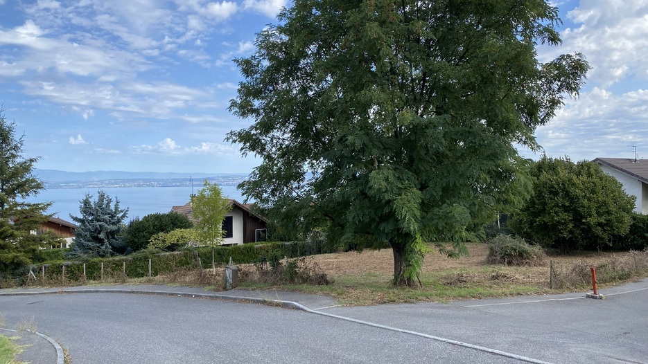 Terrain Vue Lac - Hauts d'Evian